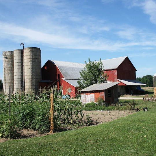 barn with silos
